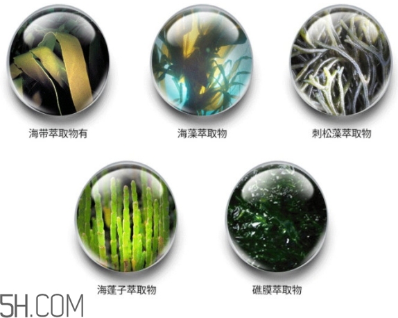 jmsolution珍珠面膜怎么用？jm珍珠珍珠面膜分為三部曲