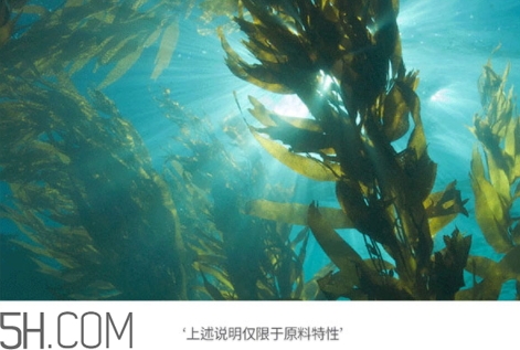 jmsolution珍珠面膜多少錢(qián)？jm珍珠面膜好用不過(guò)百元