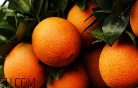 冰糖橙可以治咳嗽嗎？鹽蒸橙子快速治咳嗽