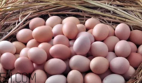 雞蛋要不要放冷藏？雞蛋的科學(xué)放置方法