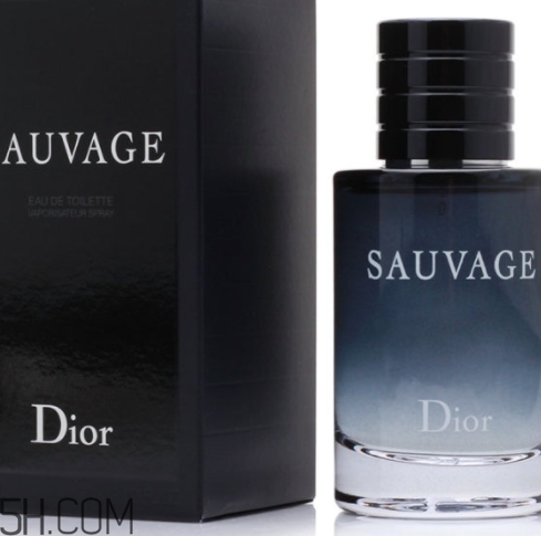 dior迪奧曠野男士淡香水好聞嗎？頻頻斷貨的魅力香水