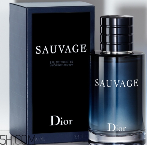 dior迪奧曠野男士淡香水好聞嗎？頻頻斷貨的魅力香水