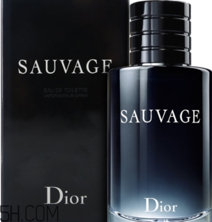 dior迪奧曠野男士淡香水好聞嗎？頻頻斷貨的魅力香水