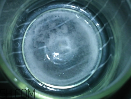 鹽漬金桔多久可以吃？鹽漬金桔放久了能吃嗎？