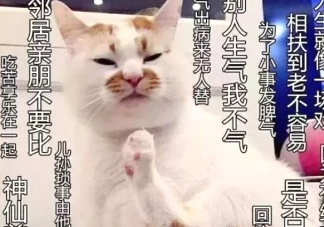 佛系妝是什么妝？佛系妝容輕松打造