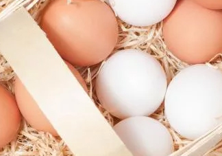 雞蛋要不要放冷藏？雞蛋的科學(xué)放置方法