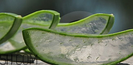 蘆薈膠祛痘效果好嗎？蘆薈膠真的會(huì)祛痘