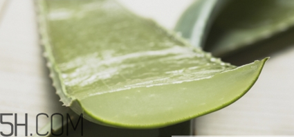 蘆薈膠祛痘效果好嗎？蘆薈膠真的會(huì)祛痘