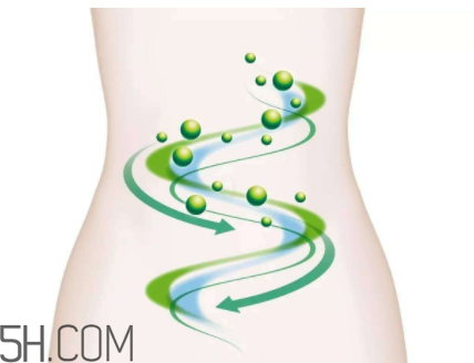 身體哪些地方的清洗容易被忽略？洗澡排便要重視