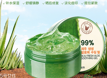 得鮮蘆薈膠含酒精嗎？蘆薈膠當(dāng)睡眠面膜的作用