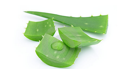 蘆薈膠怎么去紅血絲？蘆薈膠正確使用順序