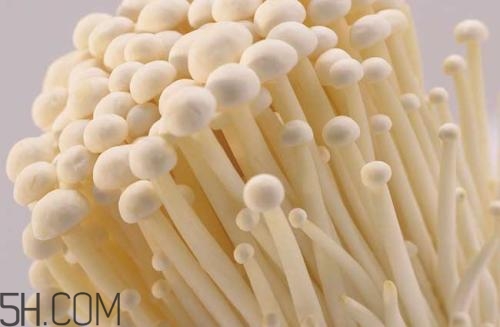 金針菇的食用禁忌有哪些？金針菇四大禁忌