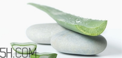 懷孕可以用蘆薈膠嗎？天天使用蘆薈膠的方法