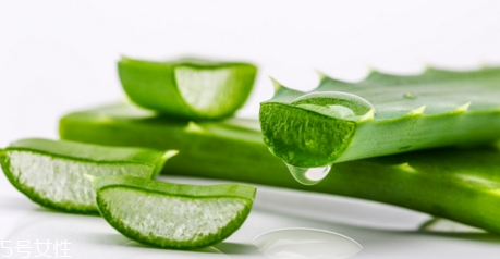 臉上過(guò)敏能用蘆薈膠嗎？蘆薈膠還可以去紅血絲