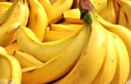 猴子為什么愛(ài)吃香蕉？熱量高營(yíng)養(yǎng)多令人高興