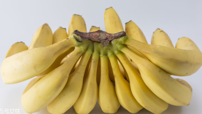 猴子為什么愛(ài)吃香蕉？熱量高營(yíng)養(yǎng)多令人高興