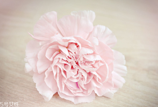 月經(jīng)量少能懷上寶寶嗎？能否排卵是關(guān)鍵