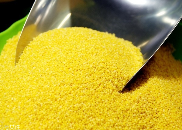 影響寶寶智力水平的因素有哪些？最常見的5大因素