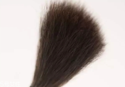 高光刷哪個(gè)牌子好？好用到哭的高光刷