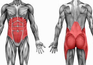 平板支撐有什么用？最有效的訓(xùn)練肌肉方法