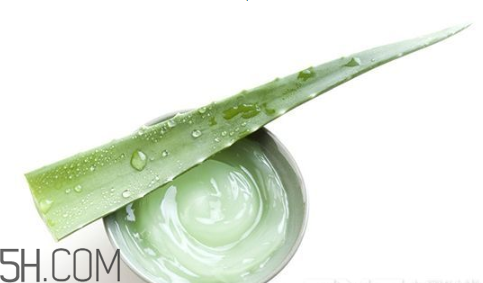 蘆薈膠吃了會(huì)怎樣？蘆薈膠的吃法