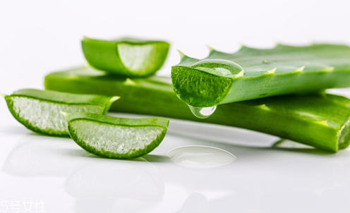 蘆薈面膜多久做一次最好？蘆薈敷臉不能過夜