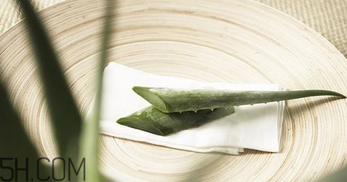 蘆薈膠吃了會(huì)怎樣？蘆薈膠的吃法