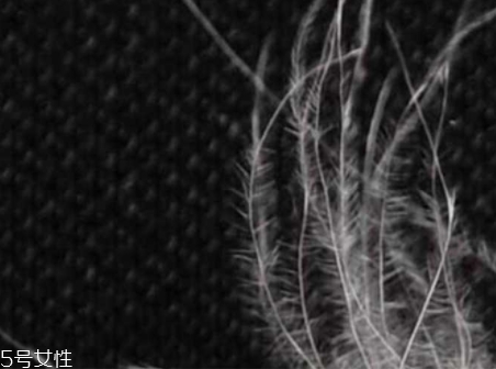 美麗絨是什么面料？適合用作毛毯家居