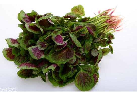 吃莧菜可以減肥嗎？減肥食物熱量排行榜