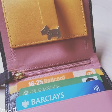 radley是什么檔次？千萬(wàn)別小看這只狗