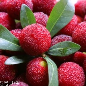 新鮮楊梅如何做酸梅湯？楊梅湯兩做法