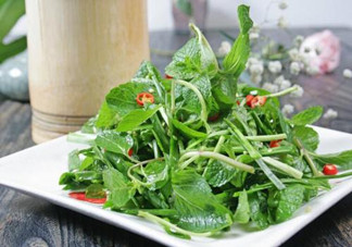 哪些中草藥可以當(dāng)菜吃？最常見的是這三種