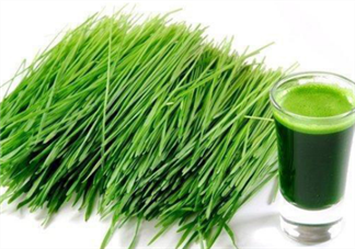 青汁一天喝幾袋最減肥？日本瘋傳的減肥飲食大法