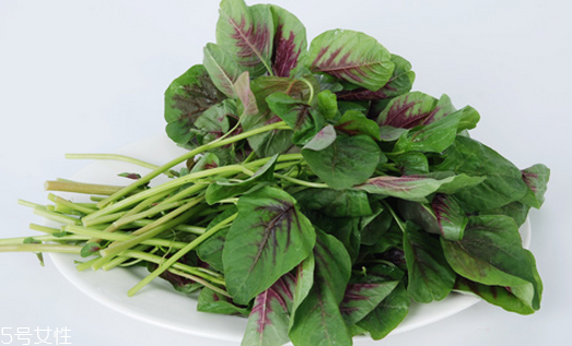 吃莧菜可以減肥嗎？減肥食物熱量排行榜