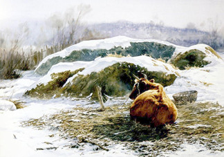 三九天怎么養(yǎng)生進(jìn)補(bǔ)？三九天養(yǎng)生四原則