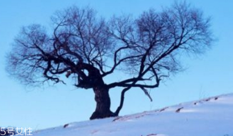 三九天最適合減肥的運(yùn)動(dòng)有哪些？推薦三種減肥運(yùn)動(dòng)