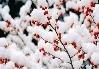 2018三九天是什么意思？三九天小常識(shí)