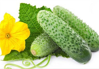 絲瓜和黃瓜的區(qū)別是什么？吃絲瓜的注意事項