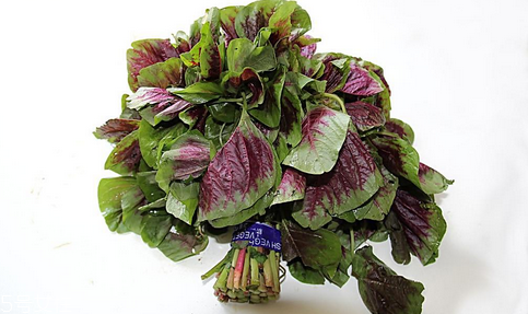 吃莧菜可以減肥嗎？減肥食物熱量排行榜