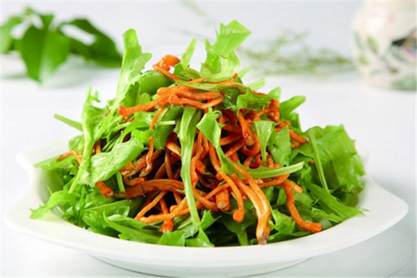 苦菊小孩能吃嗎？小孩吃苦菊促進腦部發(fā)育