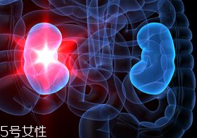 腎病為什么會發(fā)展到尿毒癥？這些因素一定要注意