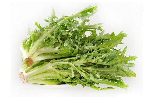 苦菊小孩能吃嗎？小孩吃苦菊促進(jìn)腦部發(fā)育