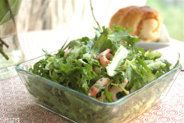 苦菊可以生吃嗎？營養(yǎng)健康苦菊菜做法