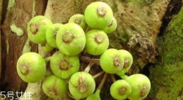 牛奶果皮能吃嗎？