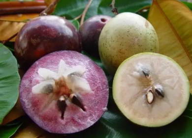 牛奶果多少錢一斤？青色和紫色是一樣的嗎