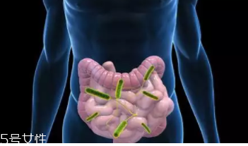 放屁對身體有哪些好處？放屁能反映腸胃健康與否