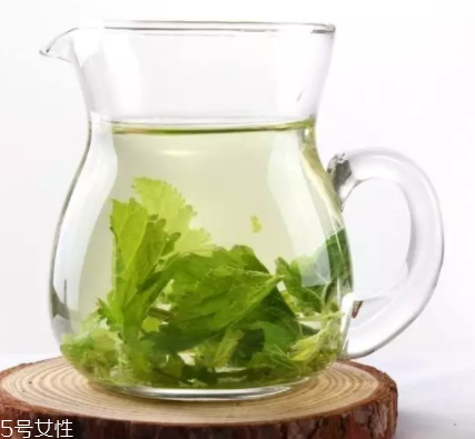 桑葉茶哪些人不能喝？過多飲用傷脾胃傷腎