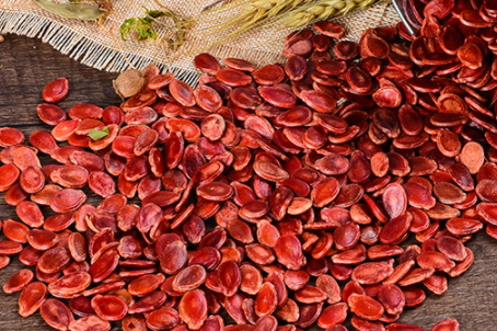 紅瓜子孕婦可以吃嗎？來看看紅瓜子的禁忌人群