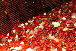 紅瓜子孕婦可以吃嗎？來看看紅瓜子的禁忌人群