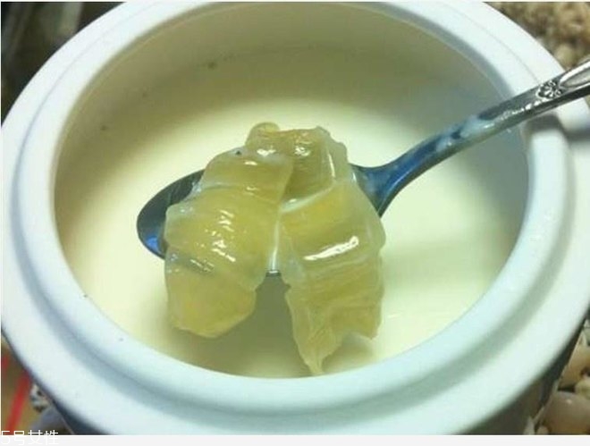 花膠燉牛奶的功效與作用？保養(yǎng)皮膚效果好